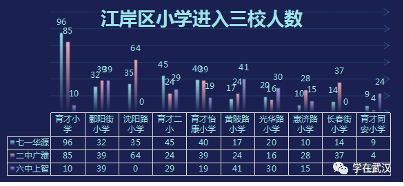 江岸区主流中小学