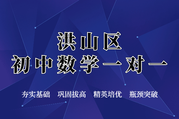 洪山区初中数学一对一