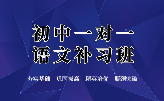 初中一对一语文补习班