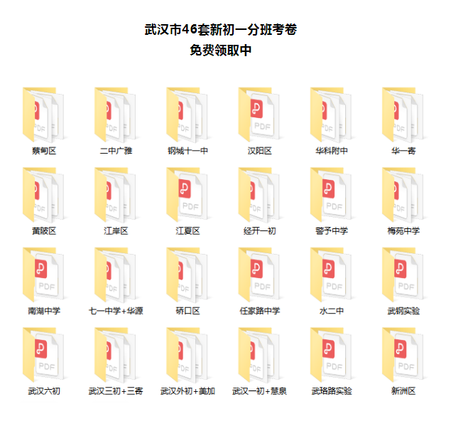 武汉市46套新初一分班考卷