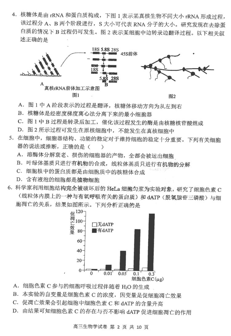 生物4