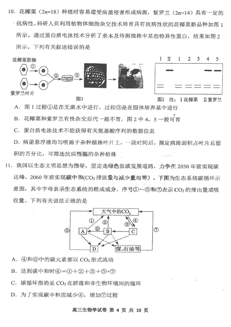 生物6