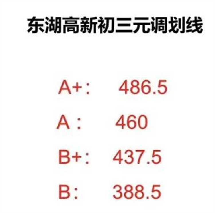 东湖高新区初三元调划线