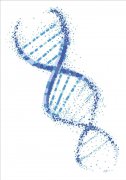 怎样去记高中生物的知识点